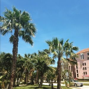 Meet your Posher, Carly